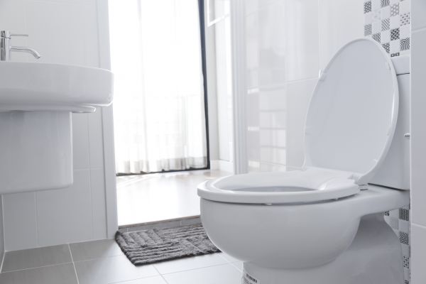 Toilet Seat Installation in Bentonville