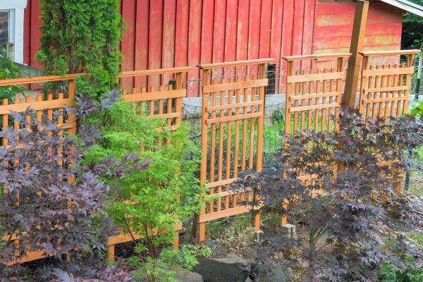 Wood Trellis Mounting in Bentonville